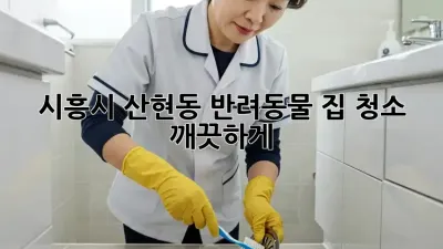 시흥시 산현동 반려동물 집 청소, 깨끗하게!