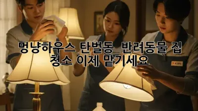 멍냥하우스✨ 탄벌동 🏠 반려동물 집 청소, 이제 맡기세요! 🐾